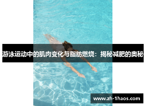 游泳运动中的肌肉变化与脂肪燃烧：揭秘减肥的奥秘