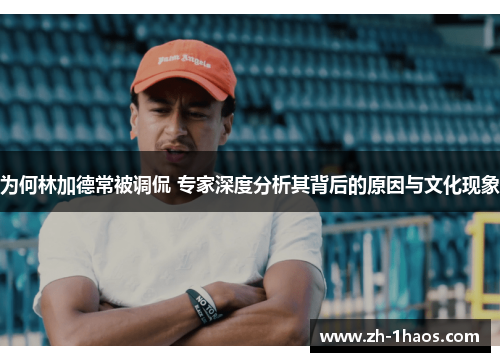 为何林加德常被调侃 专家深度分析其背后的原因与文化现象