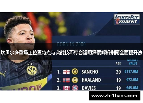 坎贝尔多重场上位置特点与实战技巧综合运用深度解析指南全面提升法