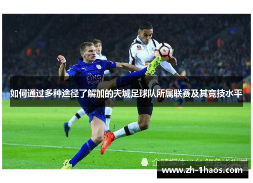 如何通过多种途径了解加的夫城足球队所属联赛及其竞技水平