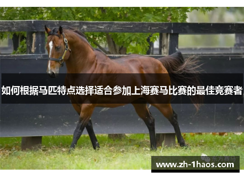 如何根据马匹特点选择适合参加上海赛马比赛的最佳竞赛者