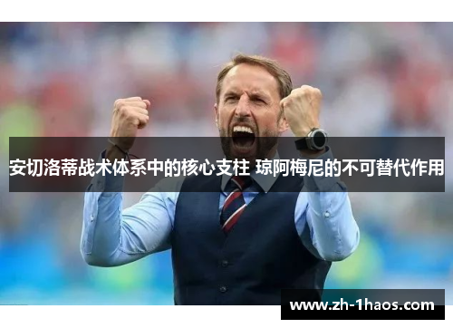 安切洛蒂战术体系中的核心支柱 琼阿梅尼的不可替代作用