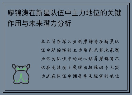 廖锦涛在新星队伍中主力地位的关键作用与未来潜力分析