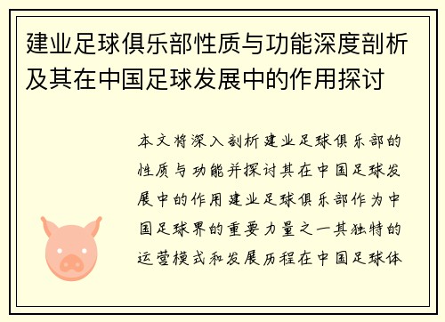 建业足球俱乐部性质与功能深度剖析及其在中国足球发展中的作用探讨