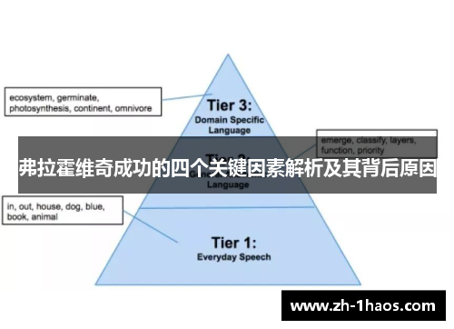 弗拉霍维奇成功的四个关键因素解析及其背后原因